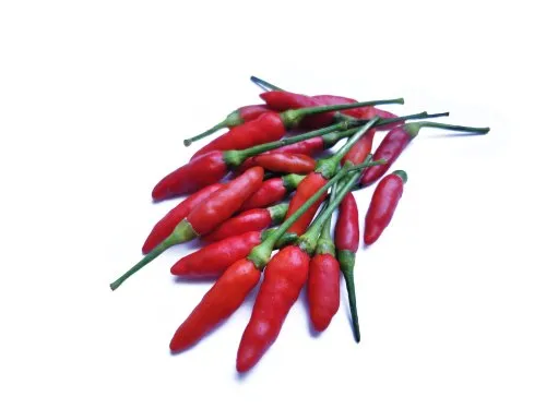 Red Chilli Bird Eye
